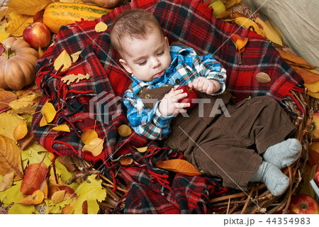 autumn concept - child boy lie on yellow leaves autumn concept - child boy lie on yellow leaves 44354983
