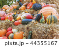 Thanksgiving 44355167