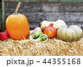 Thanksgiving 44355168