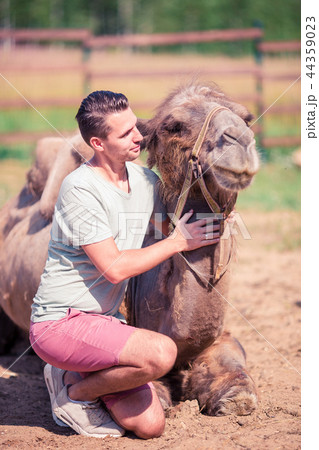 Man with camel in the zoo on warm and sunny summer day. Active family leisure. Man with camel in the zoo on warm and sunny summer day. Active family leisure. 44359023