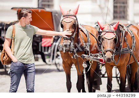 Tourist man enjoying a stroll through Vienna and looking at the two horses in the carriage Tourist man enjoying a stroll through Vienna and looking at the two horses in the carriage 44359299