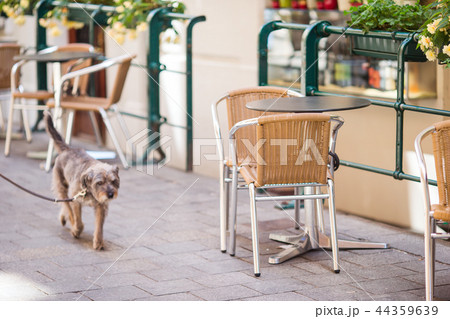 Summer empty open air restaraunt in Europe. Summer empty open air restaraunt in Europe. 44359639