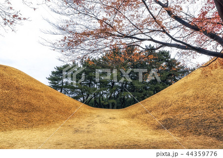 royal mounds with autumn foliage 44359776