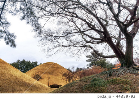 daereungwon tomb complex 44359792