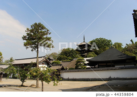 當麻寺・中之坊 當麻寺・中之坊 44359804