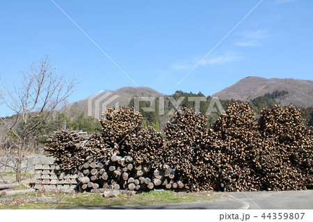 里山と大量の薪 里山と大量の薪 44359807