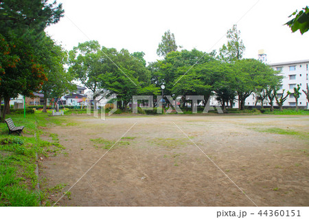柳島公園/静岡県富士市中丸 柳島公園/静岡県富士市中丸 44360151