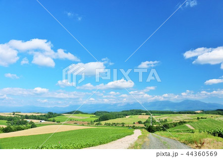北海道 夏の青空と美瑛の大地 北海道 夏の青空と美瑛の大地 44360569