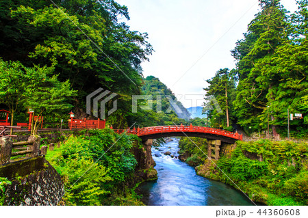 新緑の神橋　世界遺産　【栃木県日光市】 44360608
