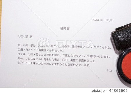 誓約書(浮気相手) 誓約書(浮気相手) 44361602
