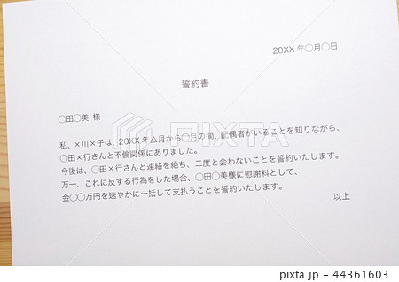 誓約書（浮気相手） 44361603