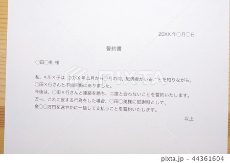 誓約書（浮気相手） 44361604