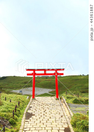 箱根神社元宮１５ 44361887