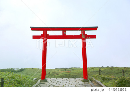 箱根神社元宮１９ 44361891