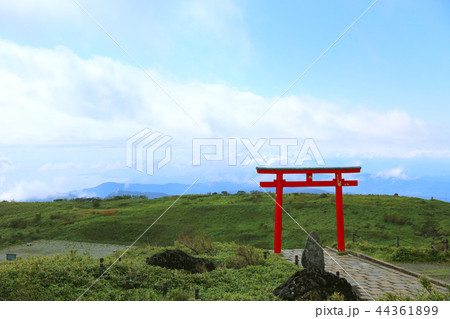 箱根神社元宮２７ 44361899