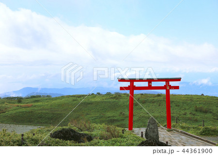 箱根神社元宮２８ 44361900