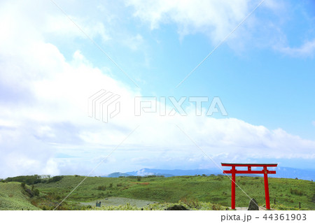 箱根神社元宮31 箱根神社元宮31 44361903