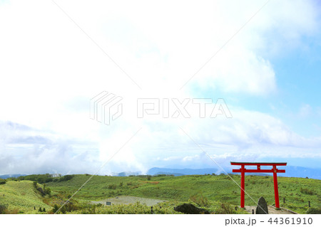 箱根神社元宮３６ 44361910
