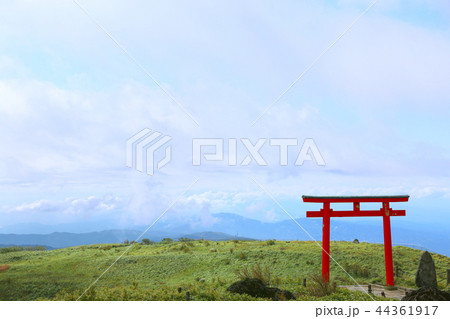 箱根神社元宮39 箱根神社元宮39 44361917