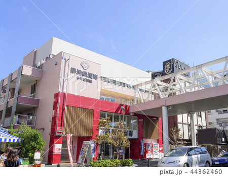 築地魚河岸の小田原橋棟（東京都中央区） 44362460