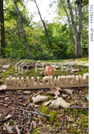 森の中のハロウィン 森の中のハロウィン 44362731
