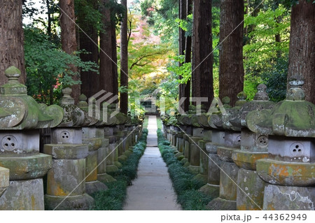 平林寺境内 大河内松平家廟所 平林寺境内 大河内松平家廟所 44362949