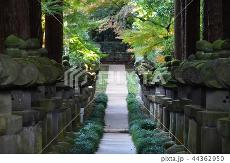 平林寺境内 大河内松平家廟所 平林寺境内 大河内松平家廟所 44362950