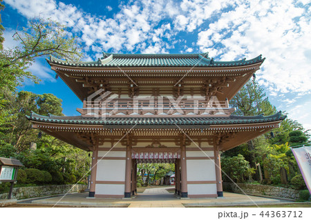 成田市 宗吾霊堂 成田市 宗吾霊堂 44363712