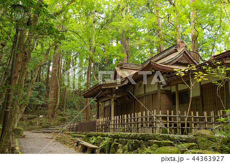 成田山公園 成田山公園 44363927