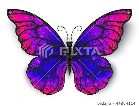 Tricolored butterfly Tricolored butterfly 44364114