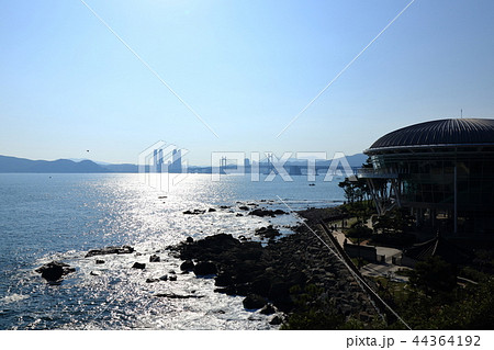 韓国 釜山 海雲台 44364192