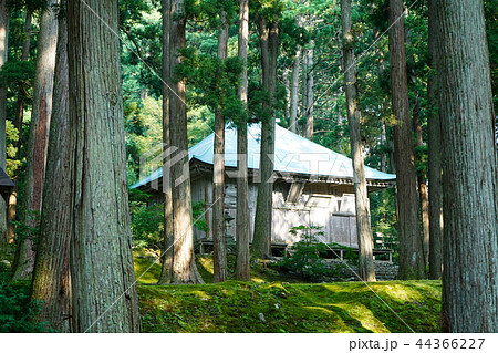 平泉寺白山神社　拝殿 44366227