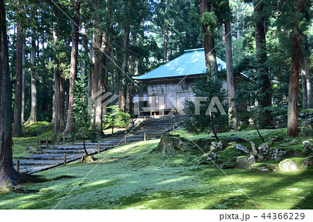 平泉寺白山神社　拝殿 44366229