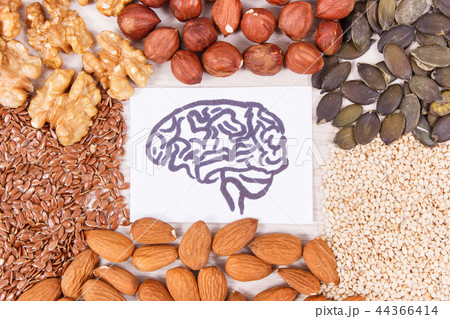 Drawing of brain and best food for health Drawing of brain and best food for health 44366414