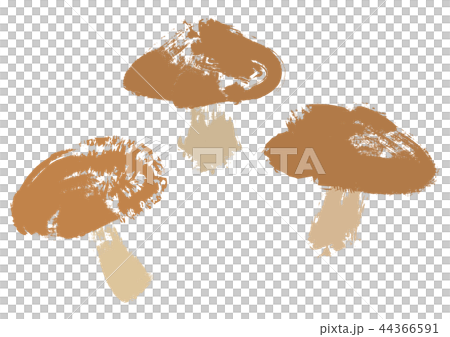 椎茸イラスト　毛筆 44366591
