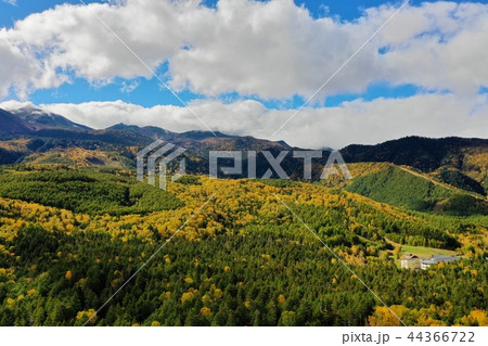 乗鞍高原　秋の一ノ瀬園地を空撮 44366722