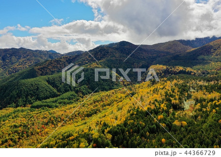乗鞍高原　秋の一ノ瀬園地を空撮 44366729