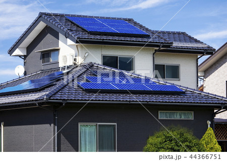 エコハウスと青空と緑 44366751
