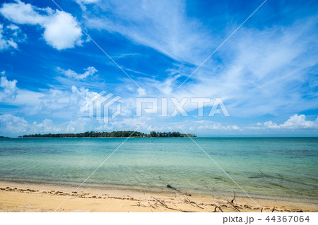The beach The beach 44367064