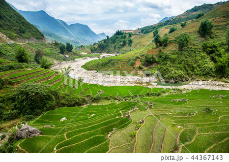 Rice terrace in Sapa Vietnam Rice terrace in Sapa Vietnam 44367143