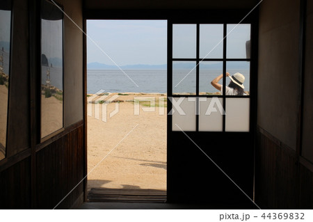 夏の日差し 夏の日差し 44369832