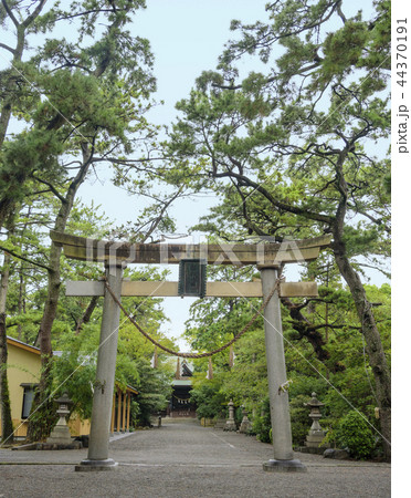 浜松八幡宮の鳥居と拝殿(静岡県浜松市) 浜松八幡宮の鳥居と拝殿(静岡県浜松市) 44370191