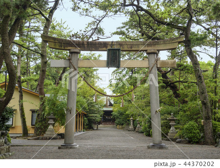 浜松八幡宮の鳥居と拝殿（静岡県浜松市） 44370202