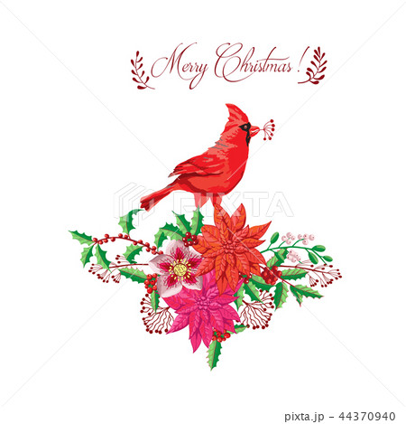 Christmas decoration with Bird and Poinsettia. Vector Illustration Christmas decoration with Bird and Poinsettia. Vector Illustration 44370940