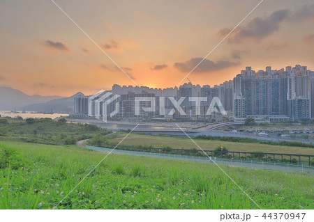 a skyline of Tseung Kwan O South 44370947