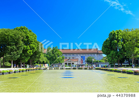 東京　上野公園　竹の台広場 44370988