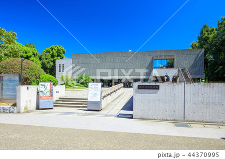 東京　上野公園　国立西洋美術館 44370995