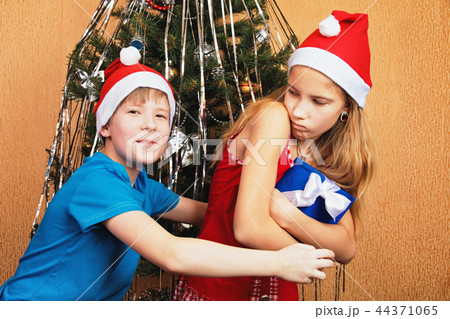Humorous dispute over a gift box near a decorated Christmas tree Humorous dispute over a gift box near a decorated Christmas tree 44371065
