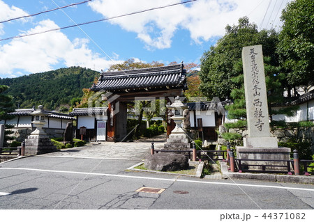 西教寺 西教寺 44371082