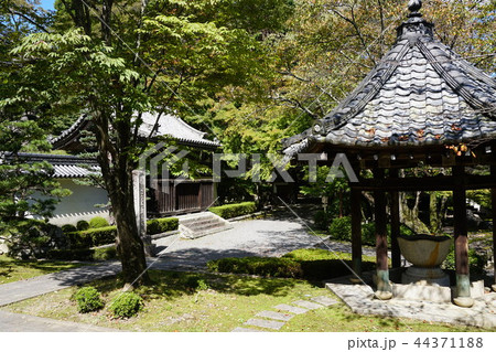西教寺 西教寺 44371188